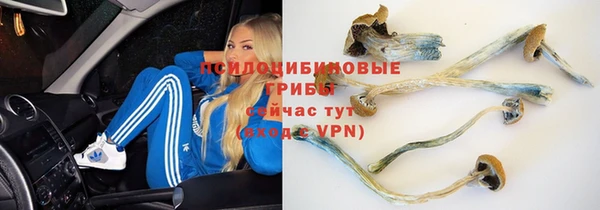 эйфоретик Осташков