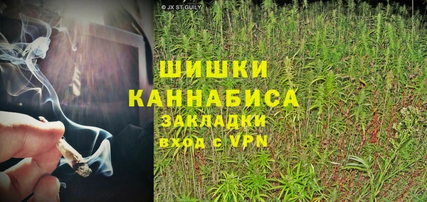 эйфоретик Осташков