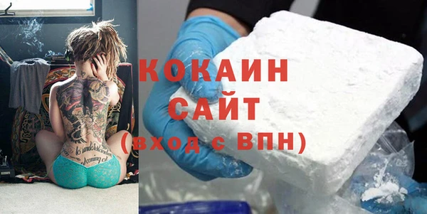 прущие грибы Болохово